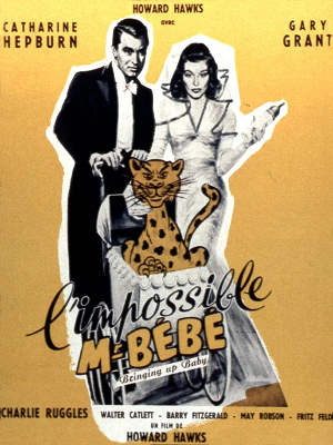 impossiblemonsieurbebe affiche